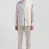 Chemise en coton tricolore ciel coupe Regular