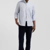 Chemise en twill de coton unie ciel col à pointes boutonnées coupe Regular