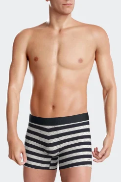 Lot de 2 boxers en coton stretch uni et cerclé gris