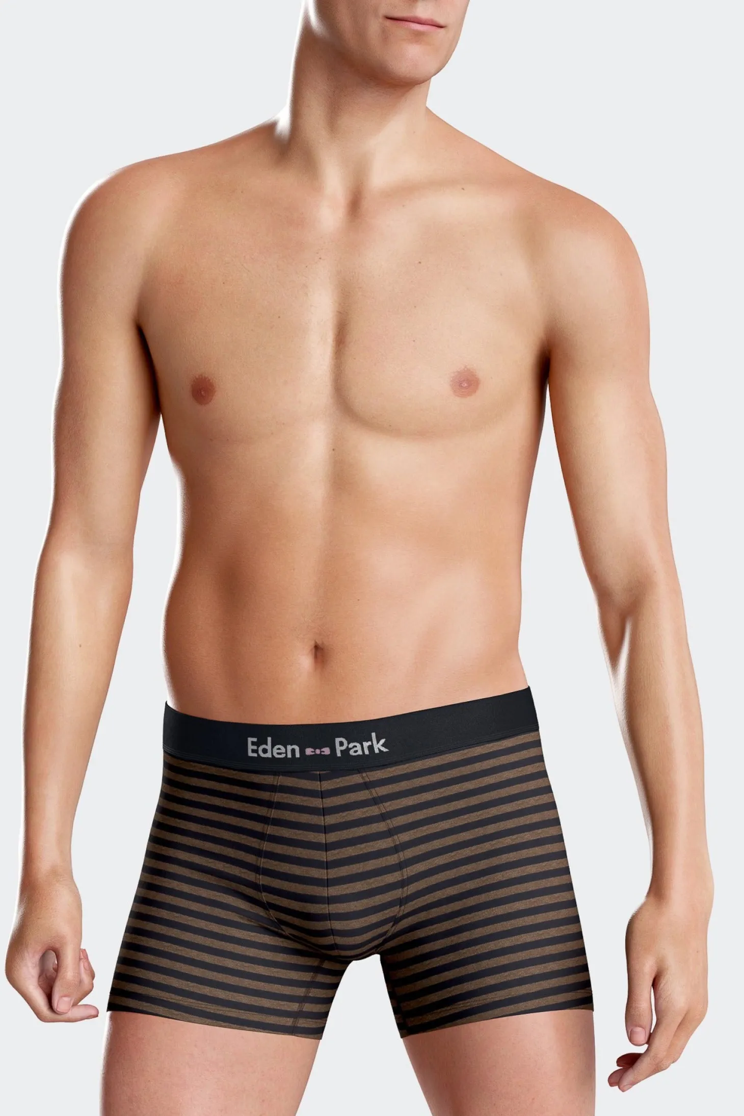 Lot de 2 boxers en coton stretch marron et rayé