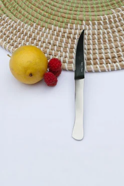 Lot de 6 couteaux de table en inox