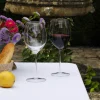 Lot de 6 verres à vin