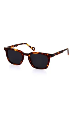 Lunette de soleil en acétate écaille marron XV de France