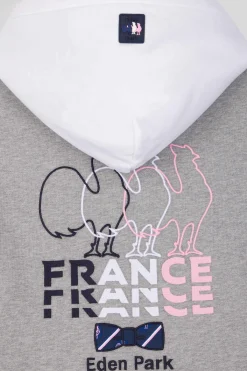 Sweatshirt à capuche colorblock en coton gris XV de France coupe Regular