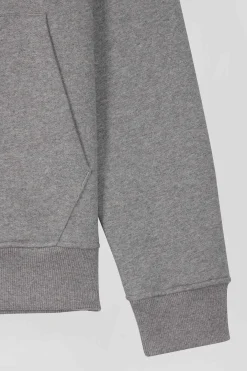 Sweatshirt zippé à capuche en molleton coton gris coupe Regular